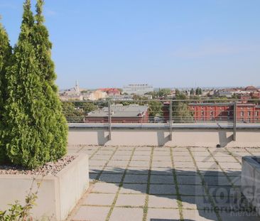 Apartamentowiec Kamienica Nowa Centrum - Photo 4