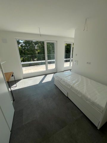 Sonne, Stil & Neubau: 1,5-Zimmer-Wohnung mit Dachterrasse - Foto 2
