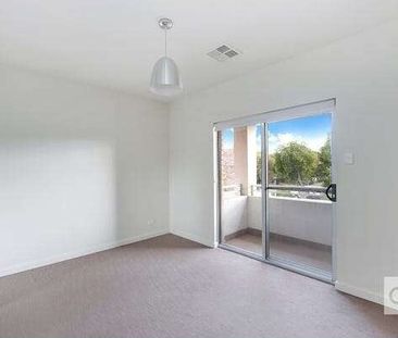 Black Forest - Photo 2