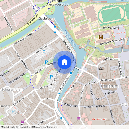 Adriaan van Bergenstraat, 4811 SP Breda