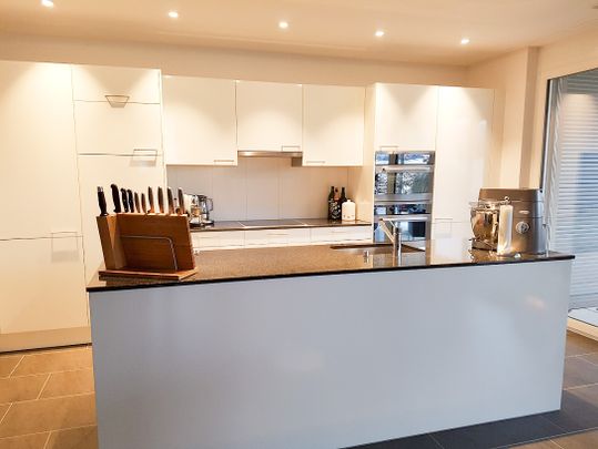 wunderschöne Erdgeschosswohnung mit grossem Sitzplatz - Photo 1