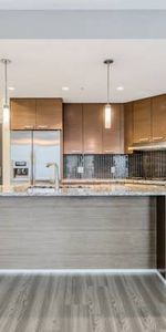 Metrotown luxury large 1 bedroom - Photo 3