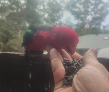 North Avoca - Photo 4