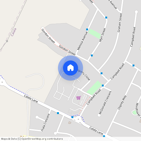 21 Gungurru Close, NSW 2340, Tamworth