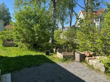 Hasselvägen, Storvreta - Photo 5
