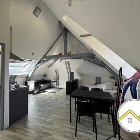 Location Appartement 1 pièce Meublé 23m² CHATEAUBRIANT 44110 - Photo 4
