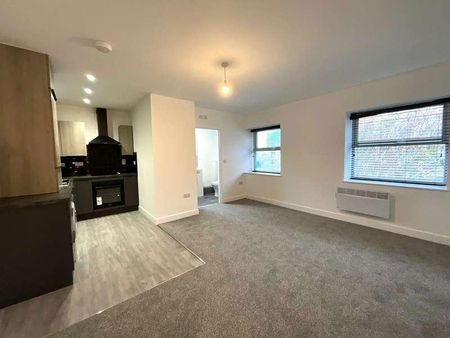 The Old Court House, DN1 - Photo 3