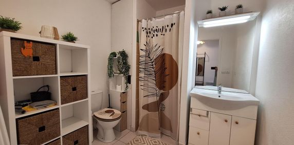 Location Appartement 1 pièce 25m² LIMOGES 87000 - Photo 2