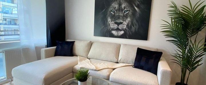 kernsaniertes 1-Zimmer-Apartment - Photo 1