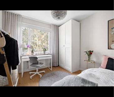 20 m² - Photo 1