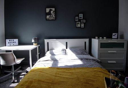 Room in a Shared House, Strawberry Hill, M6 - Photo 2