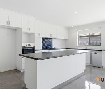 Four Bedroom Home in Casey* NEW CARPET - Photo 6