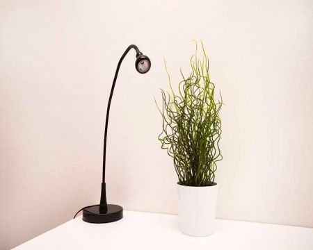 Via Vincenzo Foppa, Milan, Lombardy 20144 - Photo 3