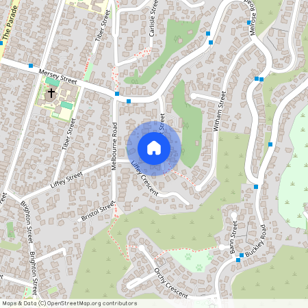 22 Albert Street, Island Bay, Wellington City