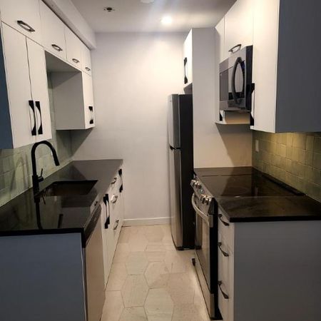 2 1/2 - Montréal (Le Plateau Mont-Royal) - 1 635 $/mois - Photo 4