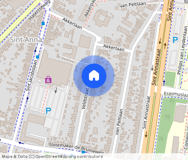 Tijdelijk; Ruime gemeubileerde woning aan de Veldstraat te Nijmegen - Foto 1