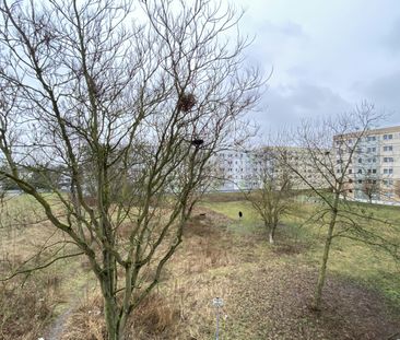 + Frisch renovierte 2 Raum Wohnung wartet auf neue Mieter + - Photo 4