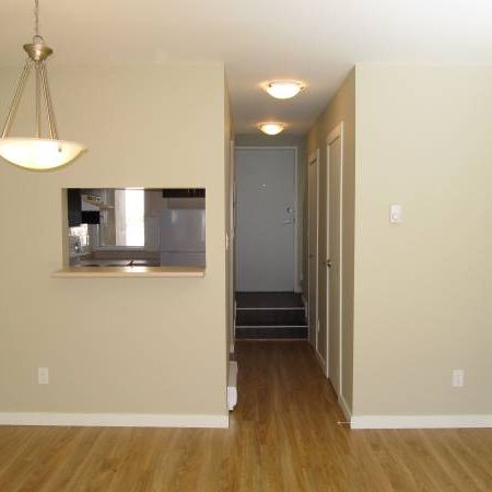 2 BEDROOM + 1.5 BATH, TWO LEVEL TOWNHOME NEAR KITS BEACH! - Photo 4