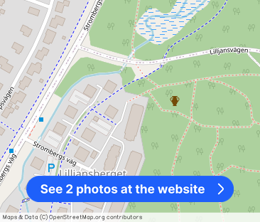 Strombergs Väg 134 - Photo 1