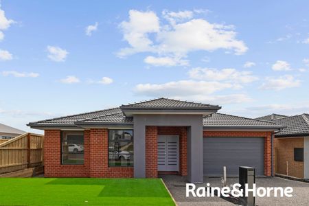 46 Sacred Drive, Sunbury, VIC 3429 - Photo 4