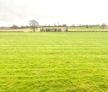 Brinklow, Nr Rugby, One bedroom self contained flat - Photo 3