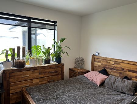 Pet Friendly Property - Photo 4