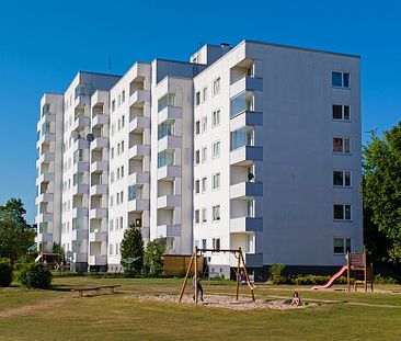 Schöne 3-Zimmer-Wohnung mit viel Platz für die Familie - Foto 2