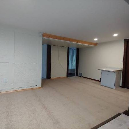 One bedroom basement suite for rent - Photo 4