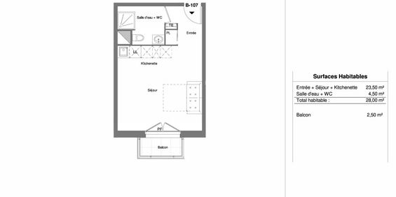 Location Appartement 1 pièce 28m² LOUVRES 95380 - Photo 3