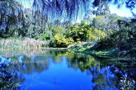 Modern 3 Bedroom Townhouse - Fully Air Conditioned - Photo 3