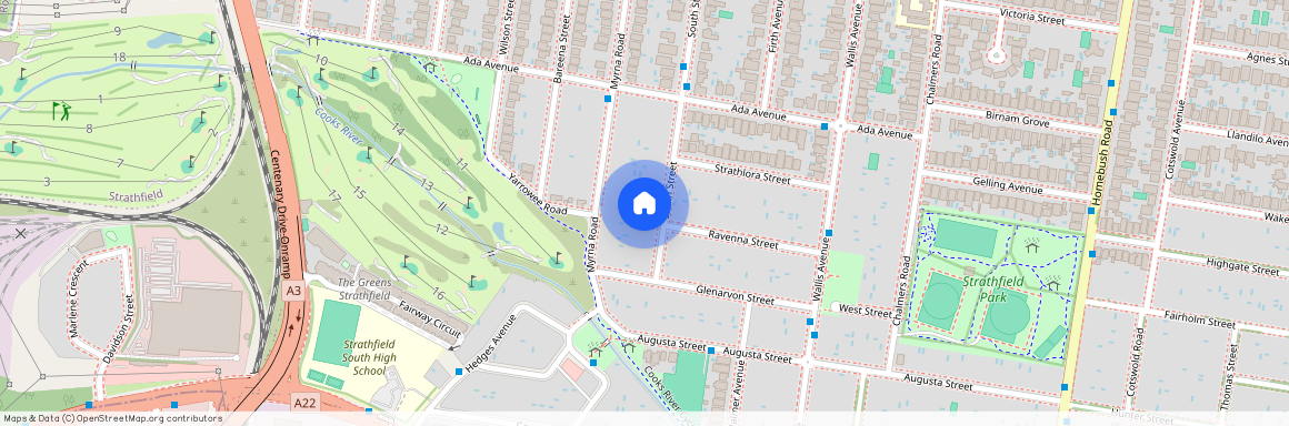 59 South Street, NSW 2135, Strathfield