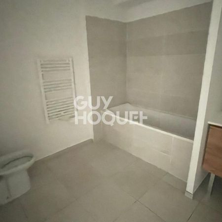 Location Appartement 1 pièce 37m² POLLESTRES 66450 - Photo 4