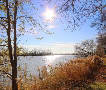 2 CH - 1 SDB - Montréal - $1,600 /mo - Photo 1