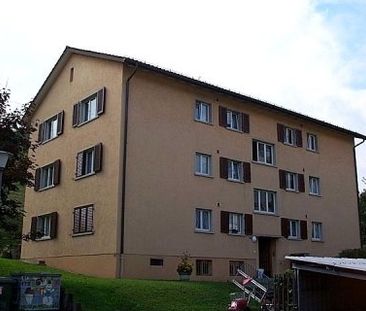 Wohnung am Stadtrand von Zürich zu vermieten - Photo 6