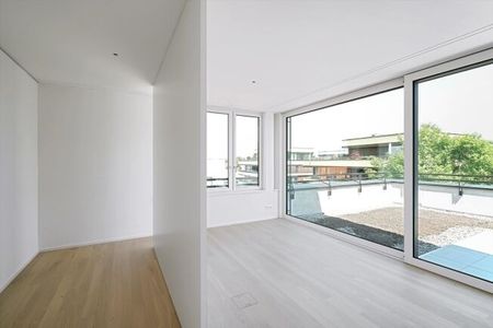 Elegant in the penthouse above the rooftops of Allschwil - Photo 2