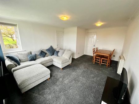 Sandringham Court, Sheriffs Close, Felling, Gateshead - Photo 3