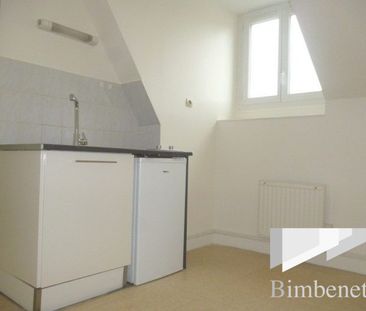 Appartement à louer, 2 pièces - Orléans 45000 - Photo 3