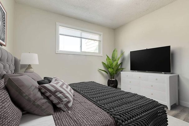 Renovated Suite - 3 Bedroom - Photo 1