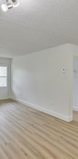 3 1/2 - Deux-Montagnes - 1 275 $/mois - Photo 1