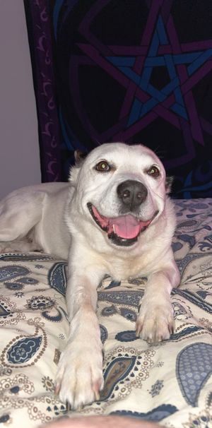 Andrews Farm - Photo 1