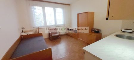 Pronájem bytu 1+kk a garsoniéry 20 m², Pekárenská, České Budějovice - Photo 3