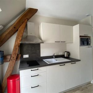 Location appartement 1 pièce - 27m² à Cour cheverny (41700) - Photo 2