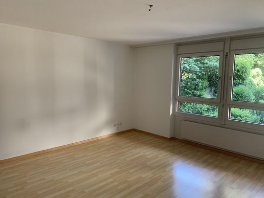1 Zimmer-Loft, 4303 Kaiseraugst - Photo 1