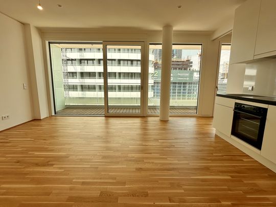 Great first occupancy in Kaisermühlen, very close to the water. - Foto 1