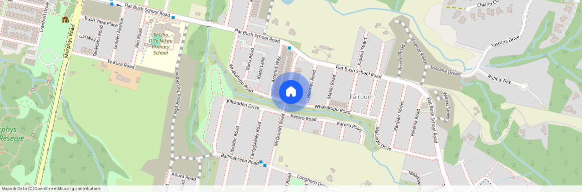 36 Whakatupu Road, Flat Bush, Auckland