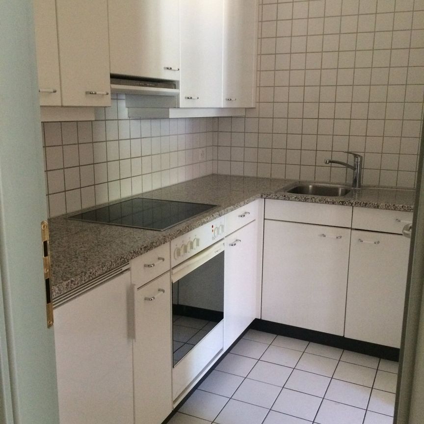 Residenza Holtania - Lugano Besso - Foto 1