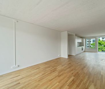 2.5 Zimmer, 61 m², 2. Stock - Photo 1