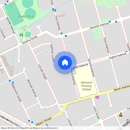 30 First Avenue, NSW 2191, Belfield