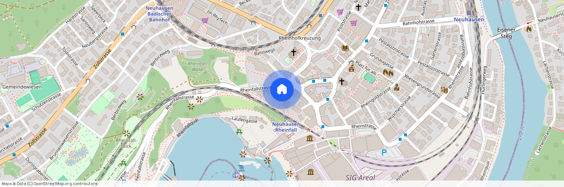 8212, Neuhausen am Rheinfall, Rheinfallstrasse, 9