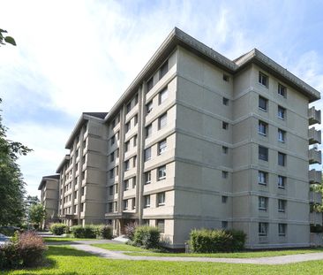 4 Zimmer, 101 m², 5. Stock - Photo 2